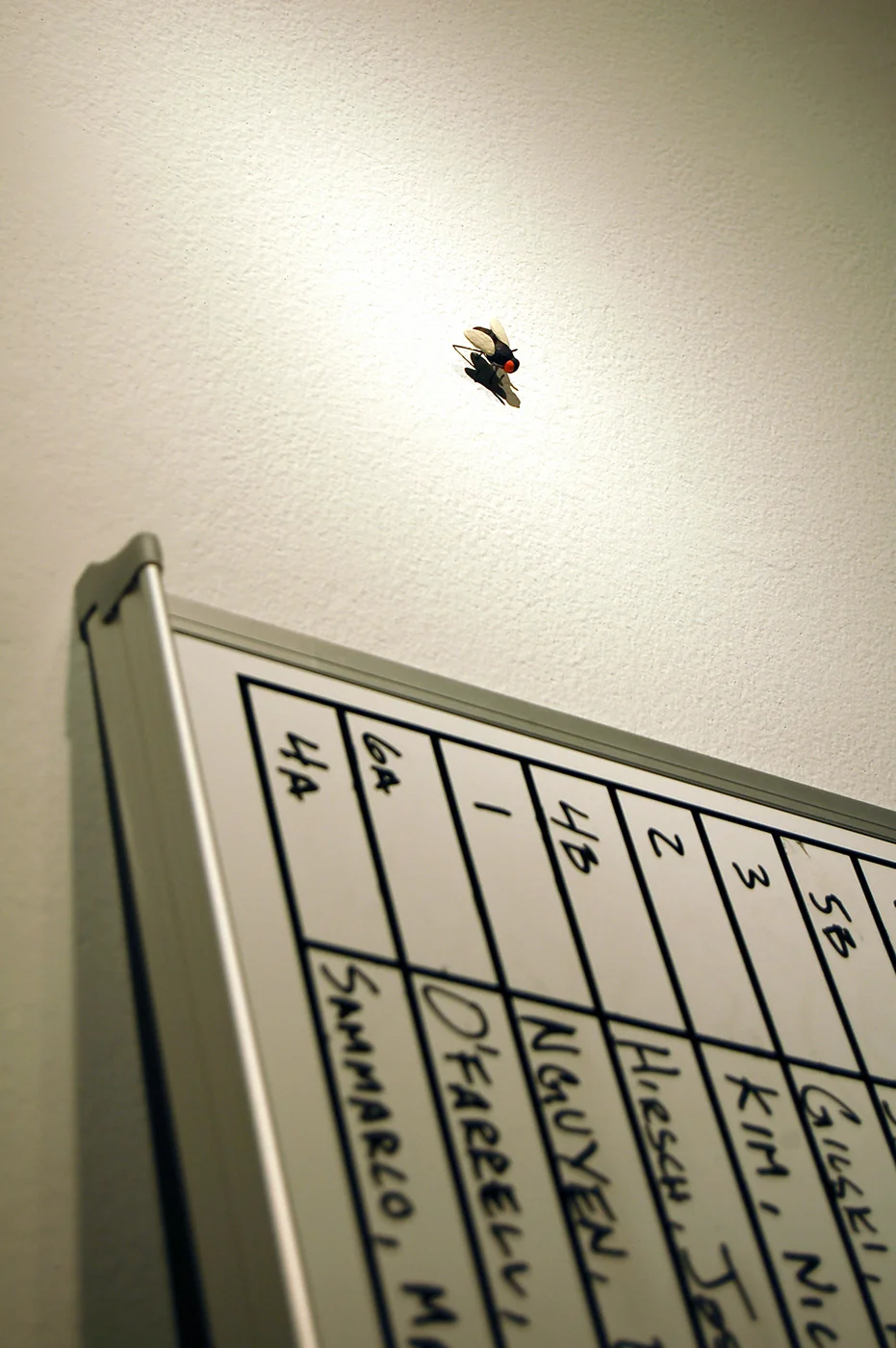 10 E.Board5.jpg