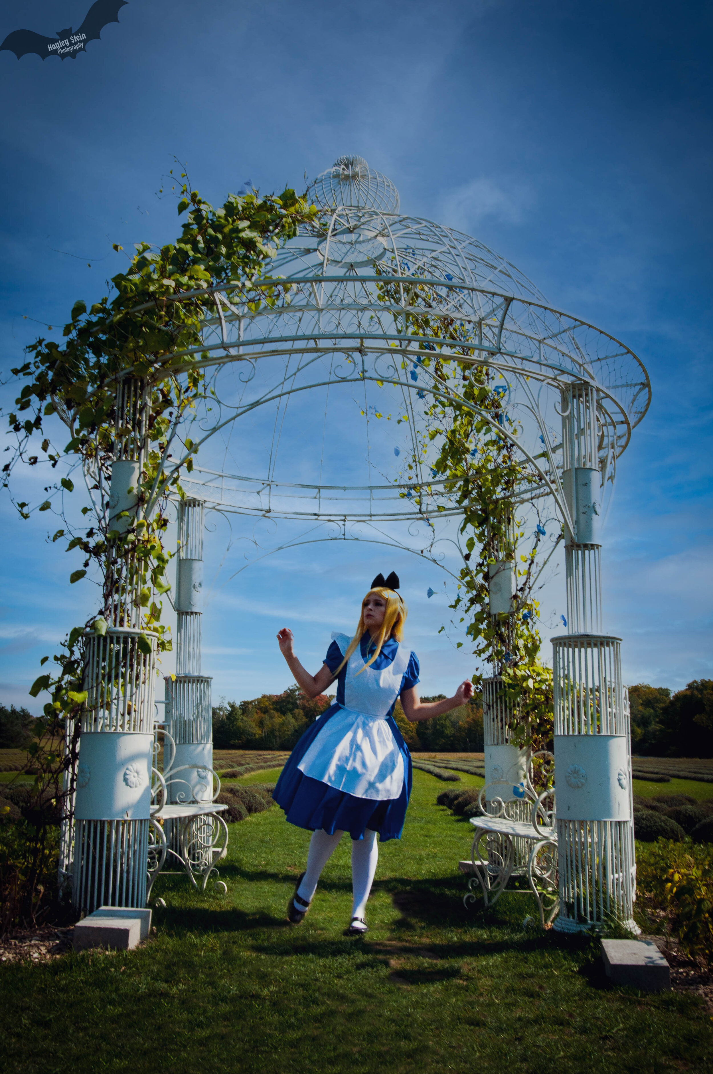 _DSC4360-2-Edit.jpg