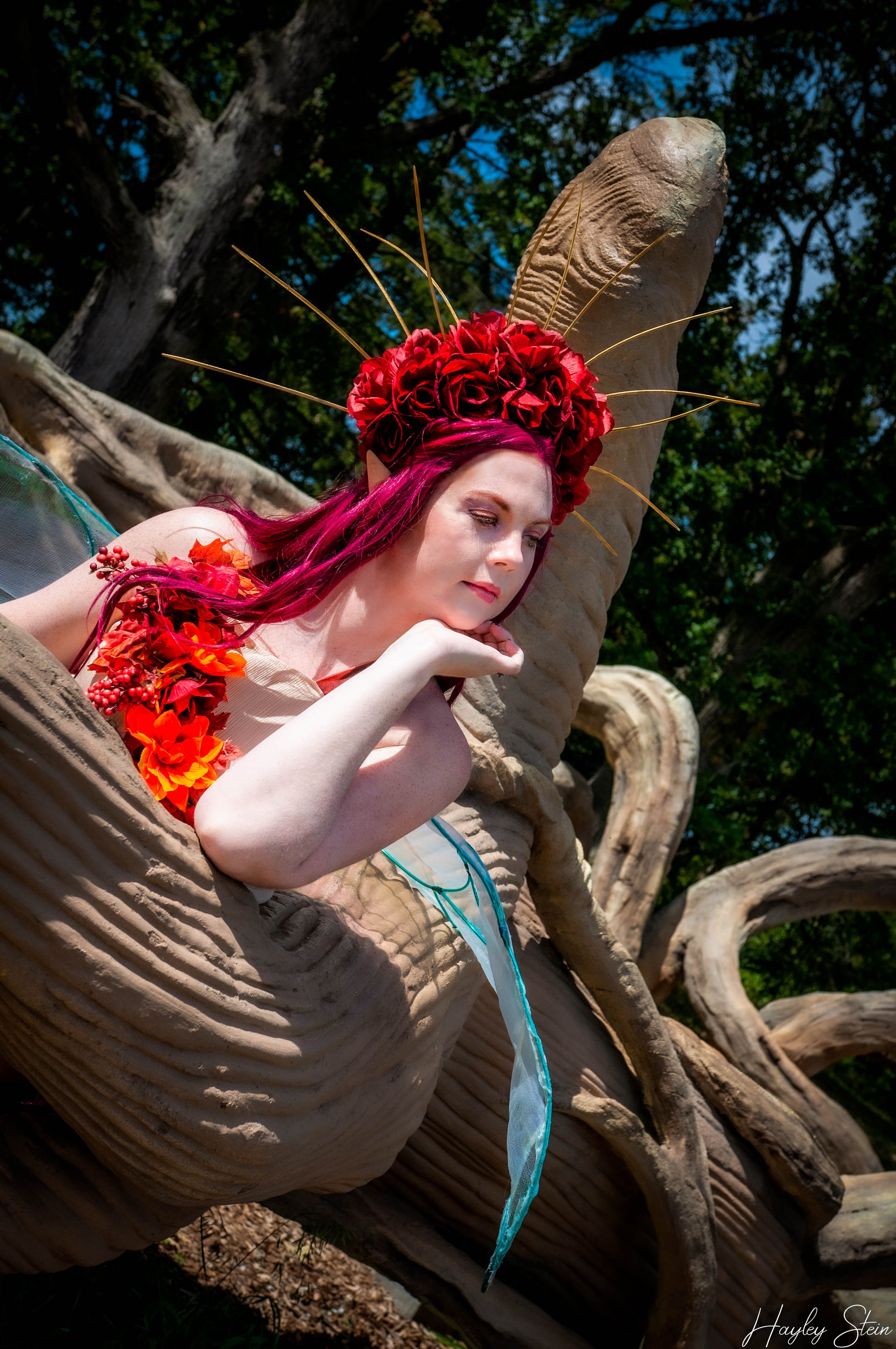 _DSC6316-Edit.jpg