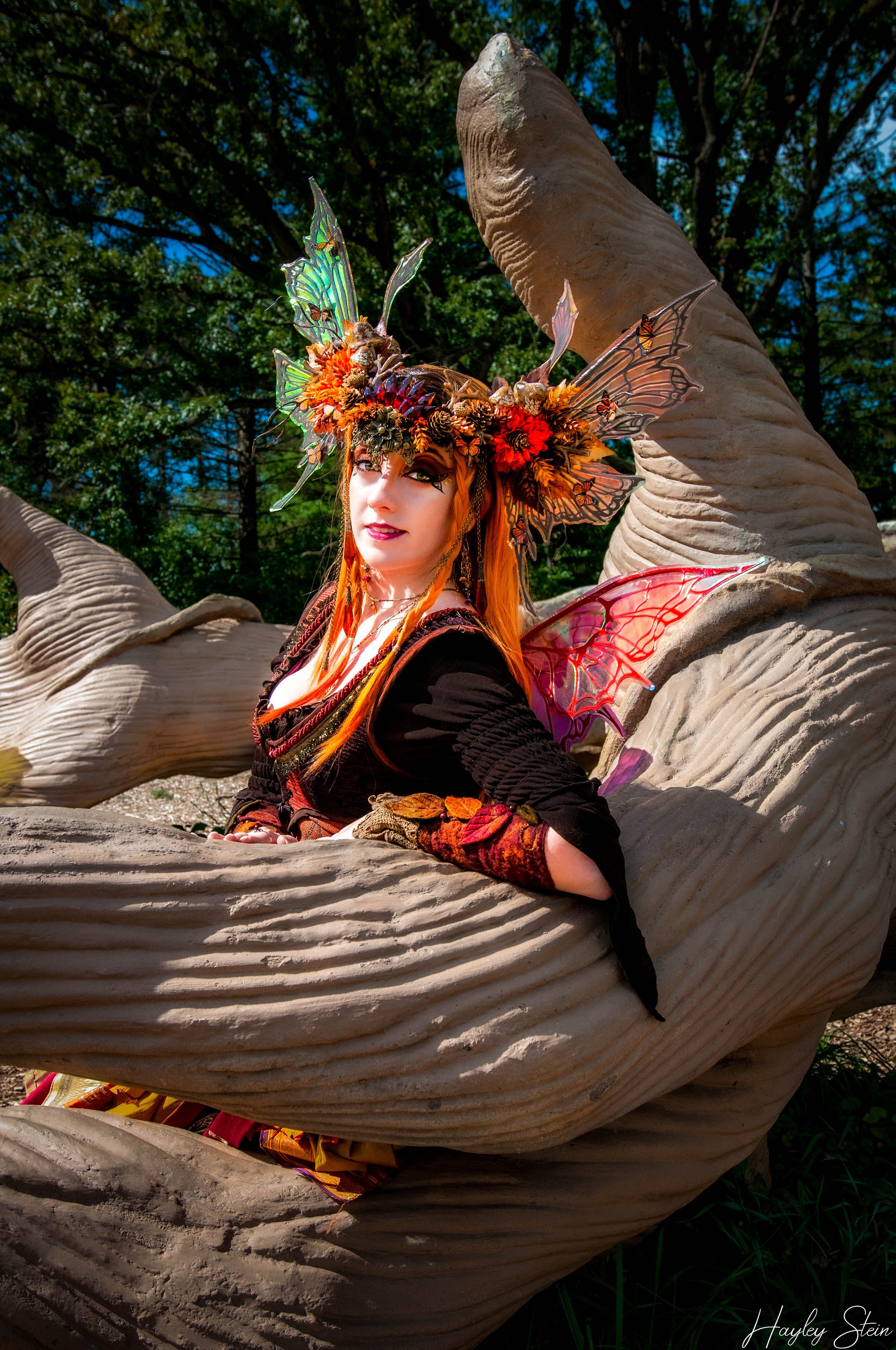 _DSC6331-Edit.jpg