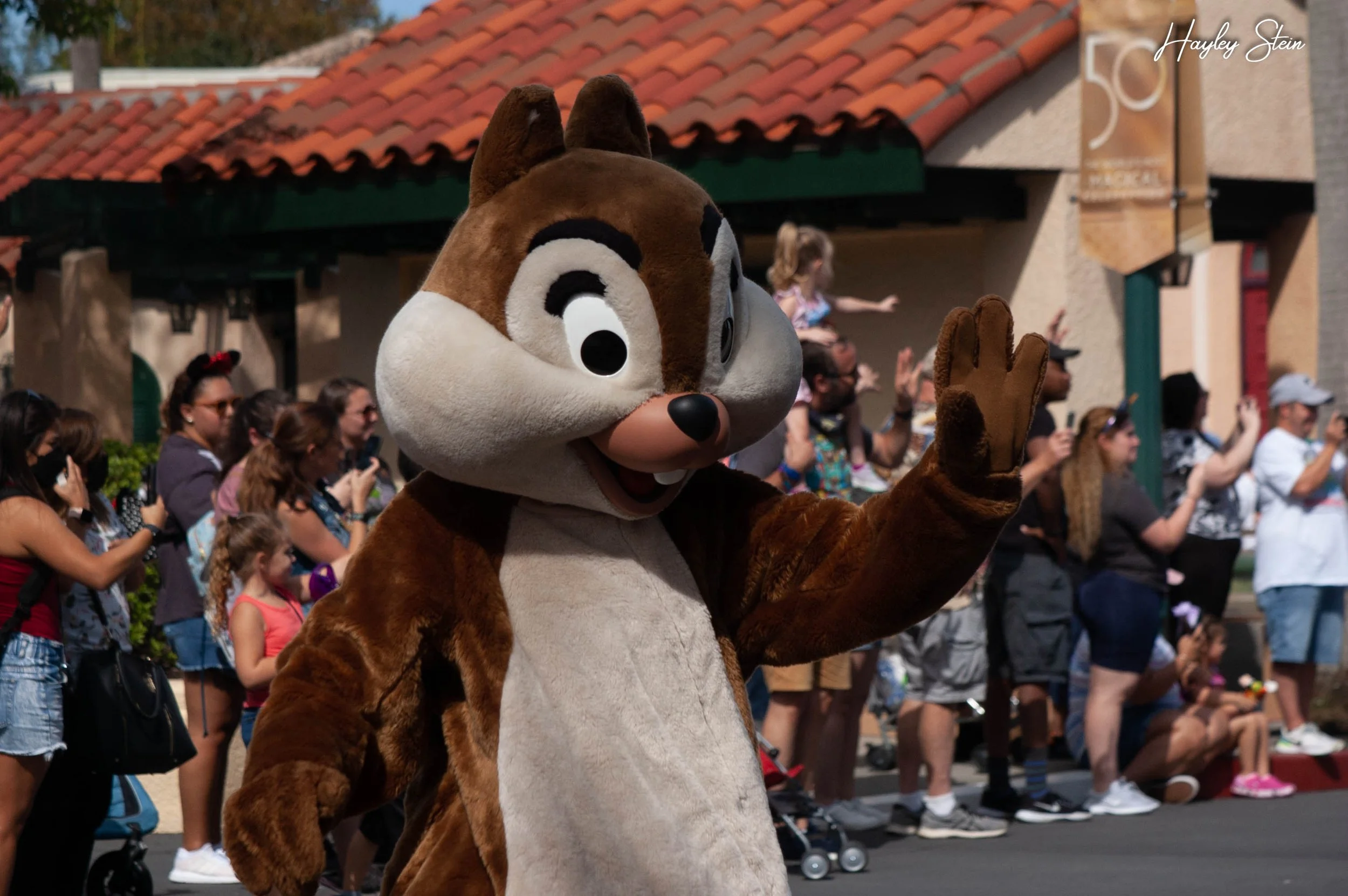 DSC_0099.jpg