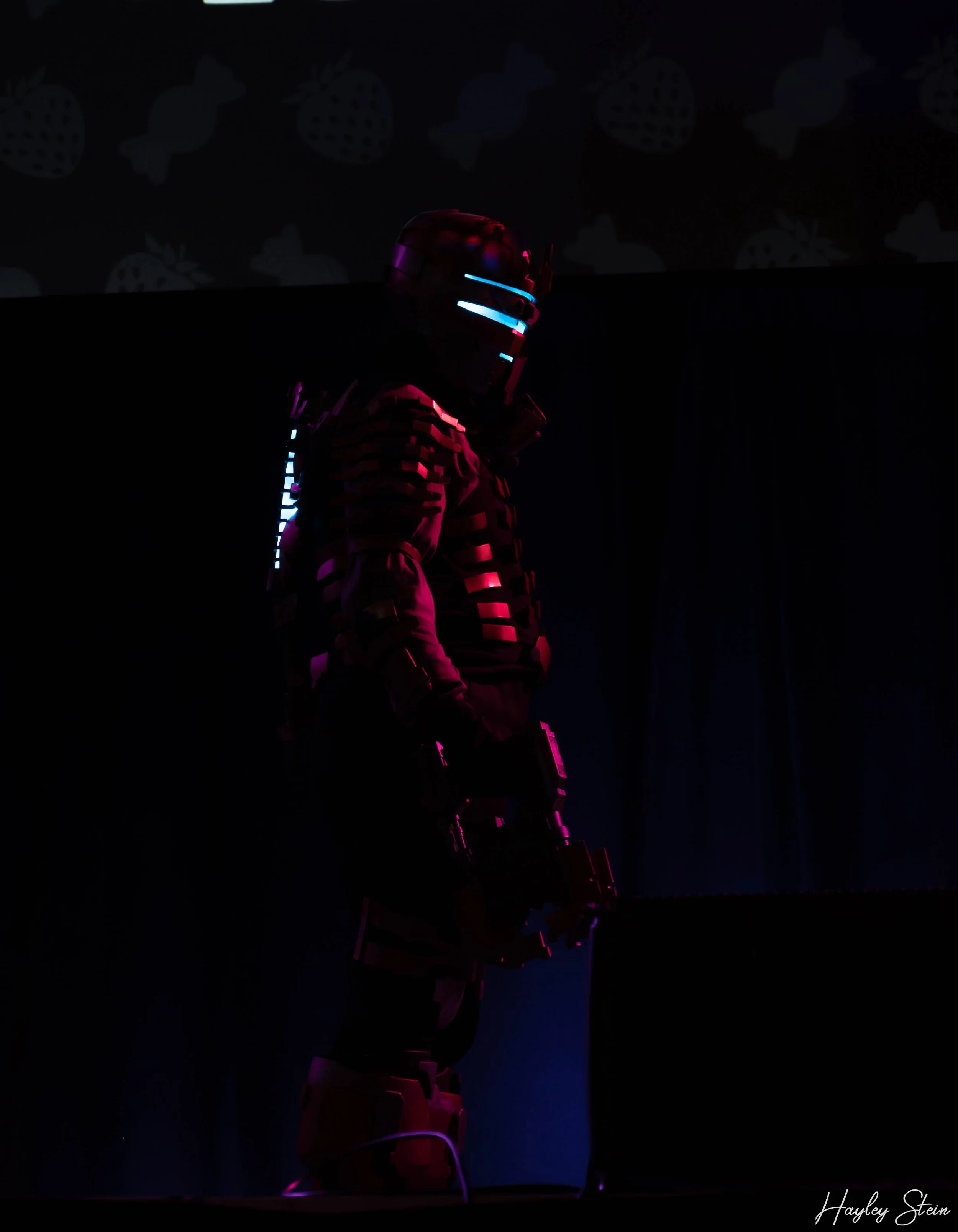 DSC_0777.jpg