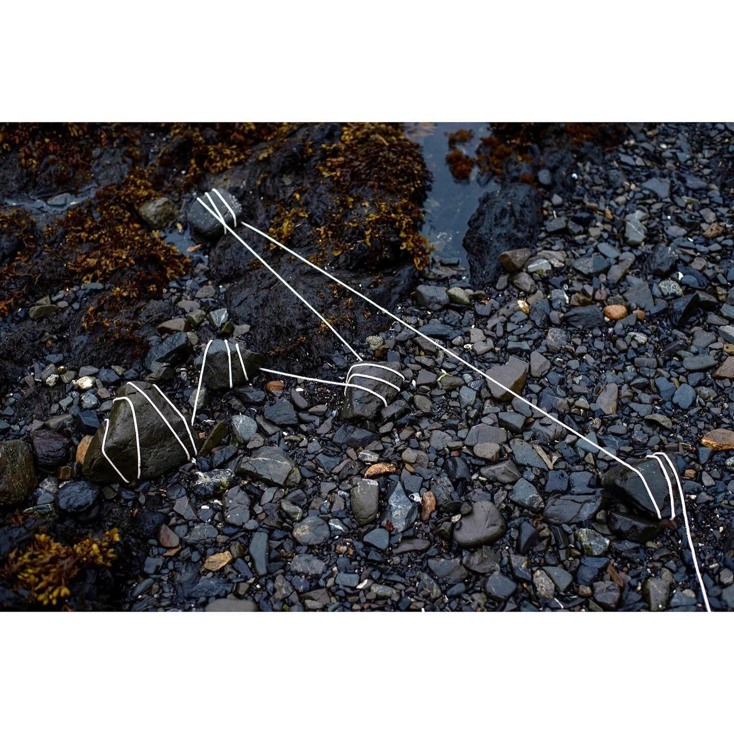 Fieldwork at low tide. 
.
.
On traditional territories of the Ucluelet First Nation.
.
#fieldworkart #drawingpractice #string #rocks #sitespecific #landscape #connection #constellation