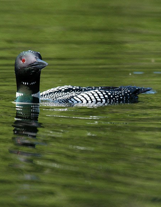 Photo by Daniel Parker
