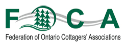 FOCA logo.jpg