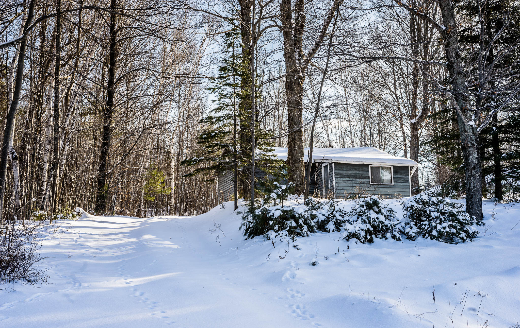 What does the cottage think of while we're away? Photo by Gail Burstyn, Lylis Designs
