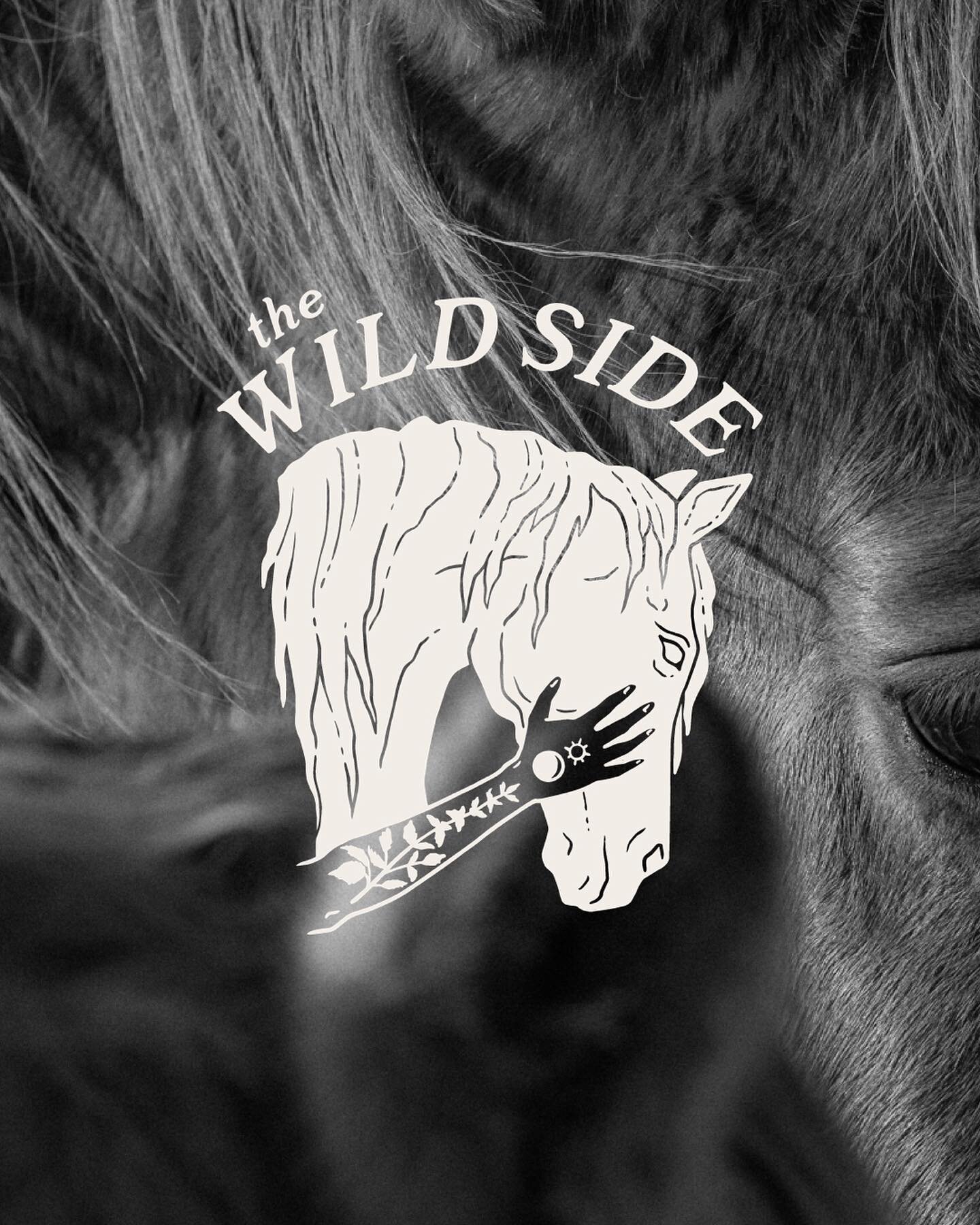 &bull; The Wild Side &bull;

I&rsquo;ve created a space to share all about the wild free-roaming souls who captivate my attention to no end ✨ 

TWS is an exploration into the plight of American mustangs based in storytelling 🐴

&bull; Part Archive
&