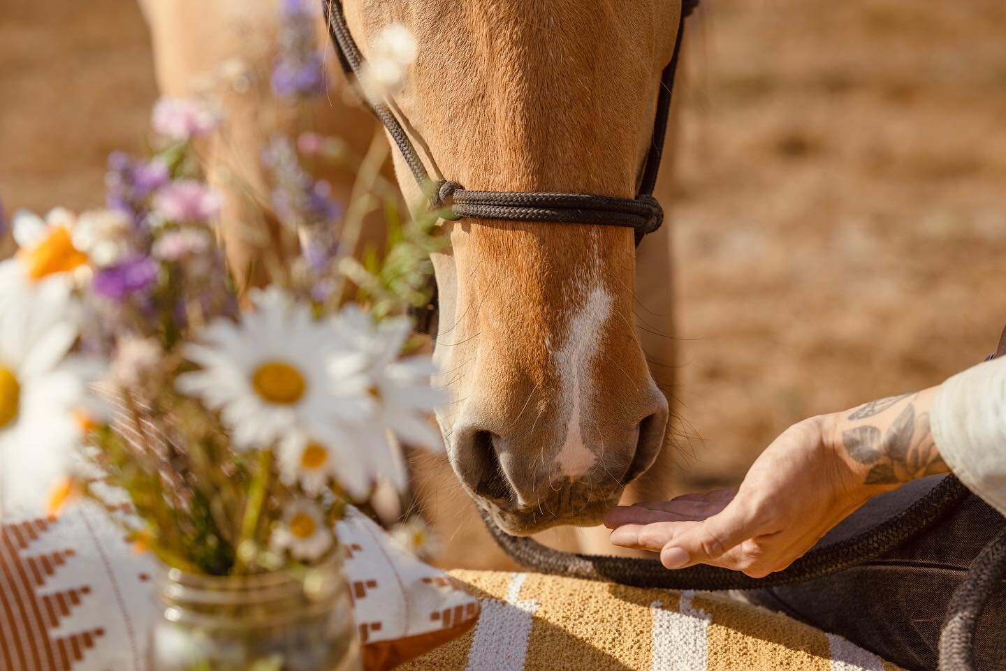 Herbs are the common thread in my bodywork and horsemanship practice 🌿🙌🏼🐴

They effectively nudge the body and mind to rest, digest, and mend. Some herbs are gentle. Others are potent. 

But no matter the reason we work with herbs, they bring us 