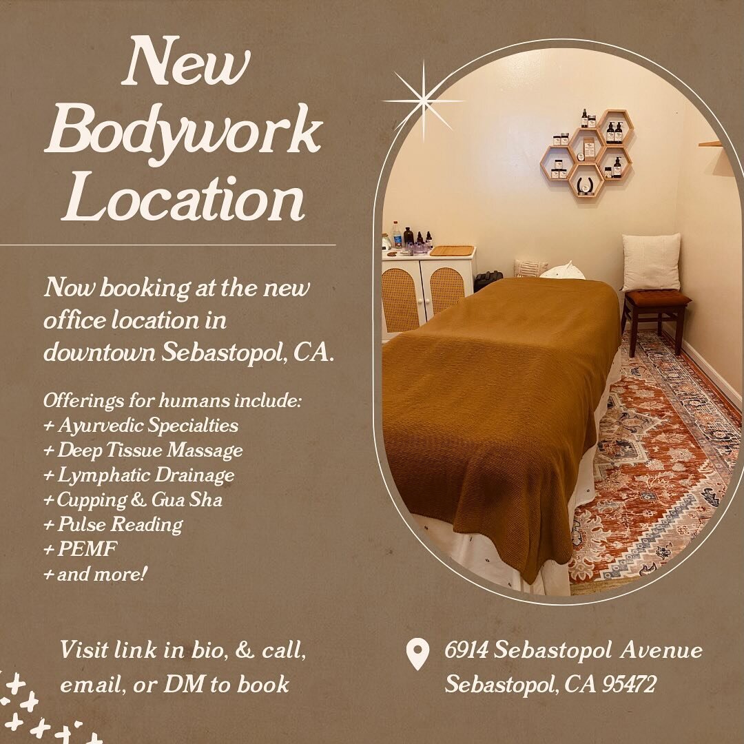 ⚡️ New year, New Location ⚡️

I&rsquo;m really stoked to announce this new bodywork office in the heart of my hometown of Sebastopol, CA.

As my first office, it&rsquo;s exciting to create a space to really dig in and build my solo practice with love