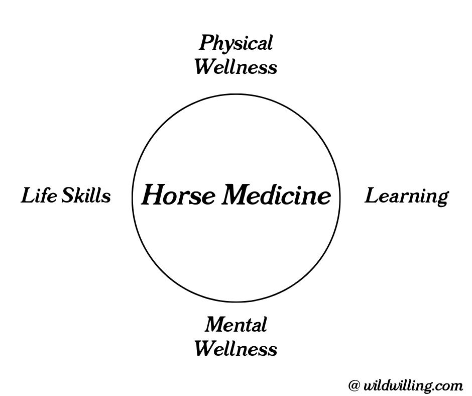 Defining Horse Medicine — Wild Willing