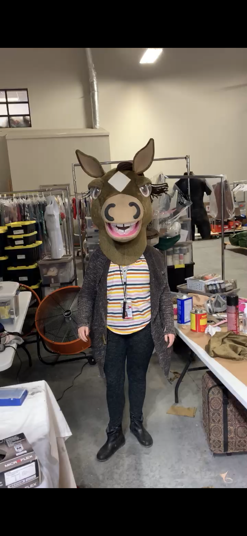 Horse mascot for WandaVision