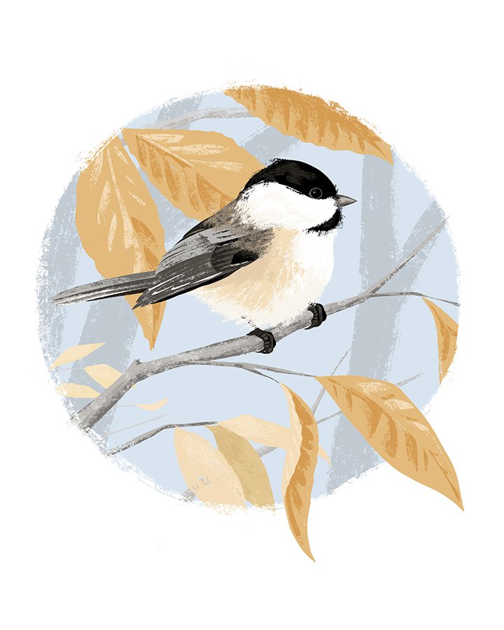chickadee_sm.jpg