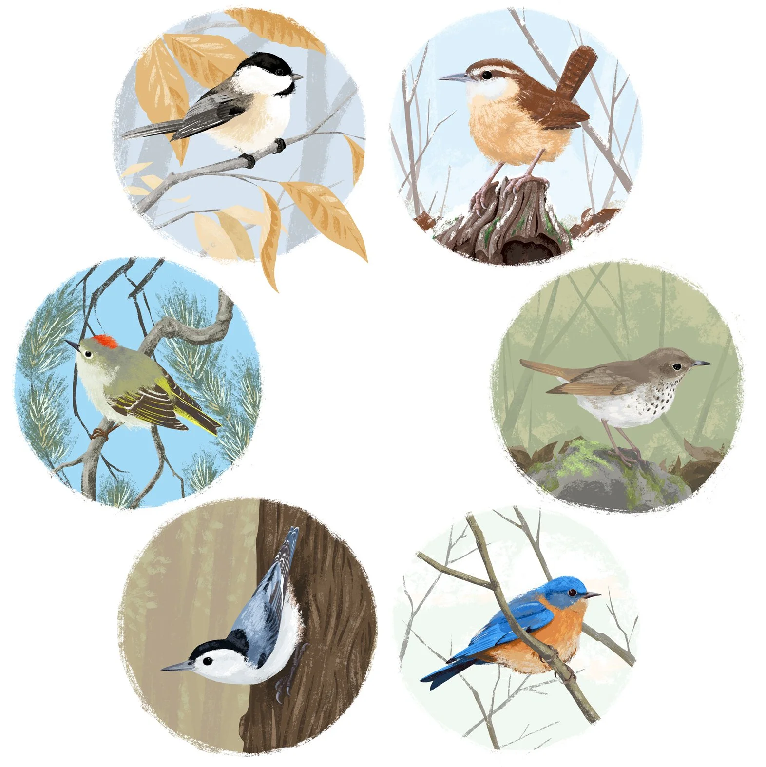 birdvignettes.jpg