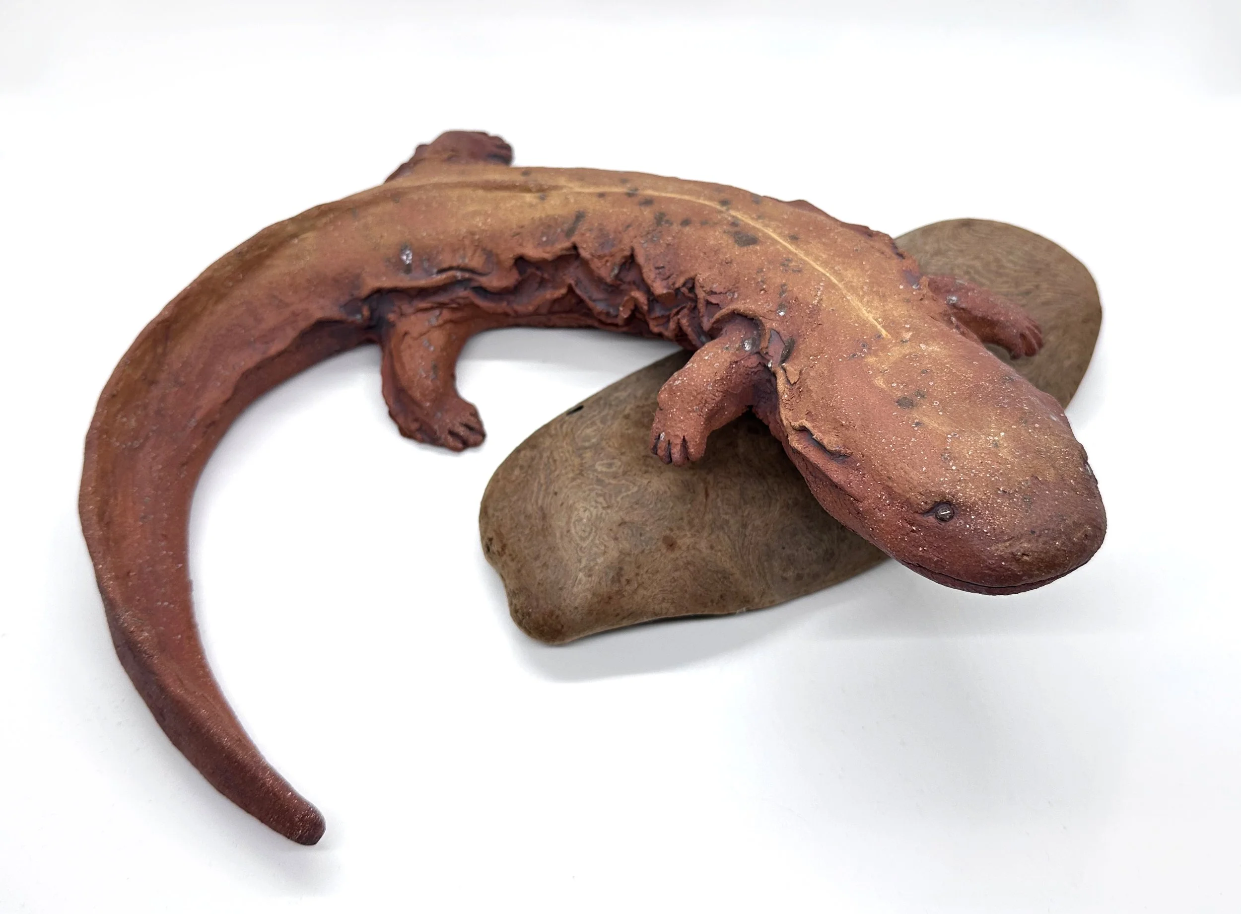 Hellbender