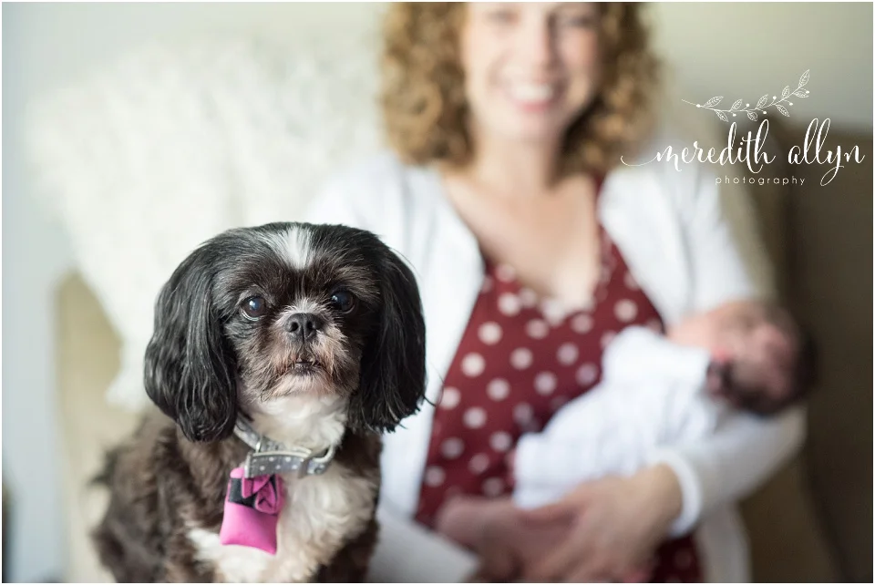 Meredith Allyn Photography_1860.jpg