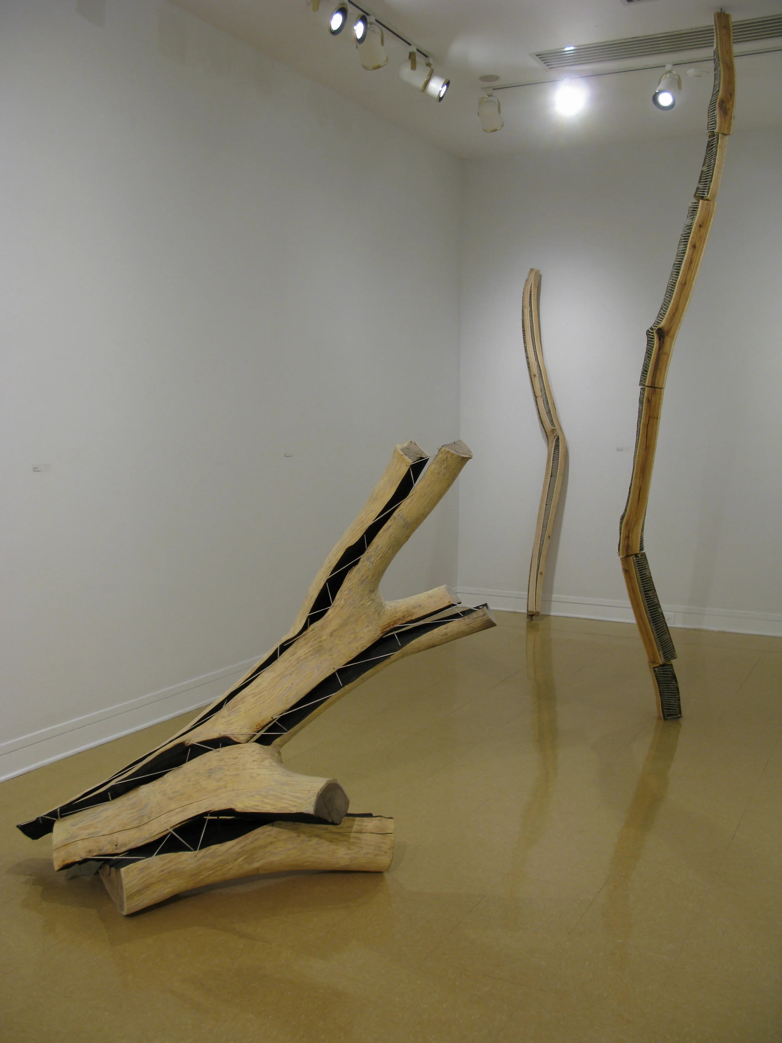Installation View Davidson College, 2013 Split Branch , Parcel , and Seam No. 1 (foreground to background)