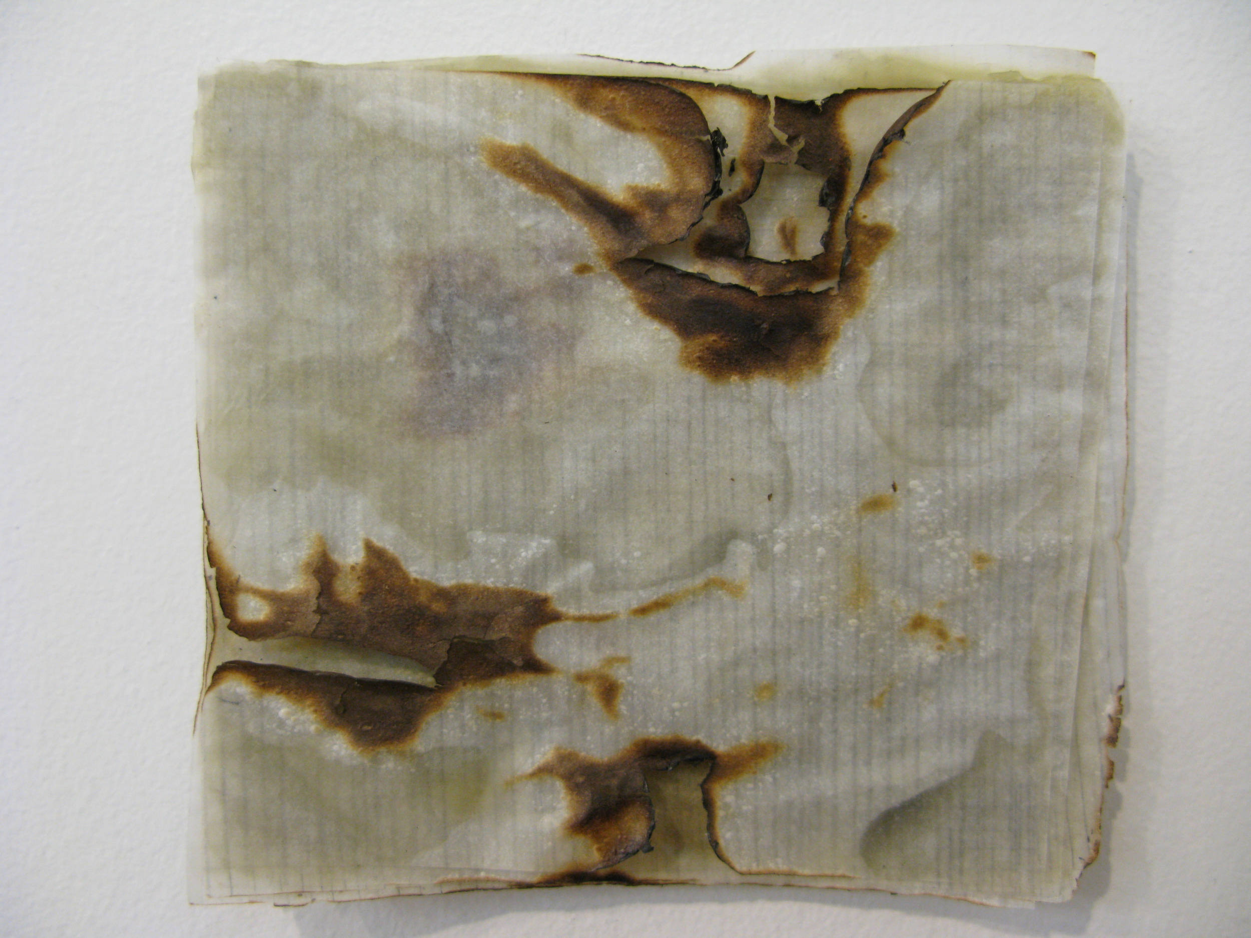  Untitled  layered vellum bonded with beeswax, graphite  4 x 3.5 in.  2012 
