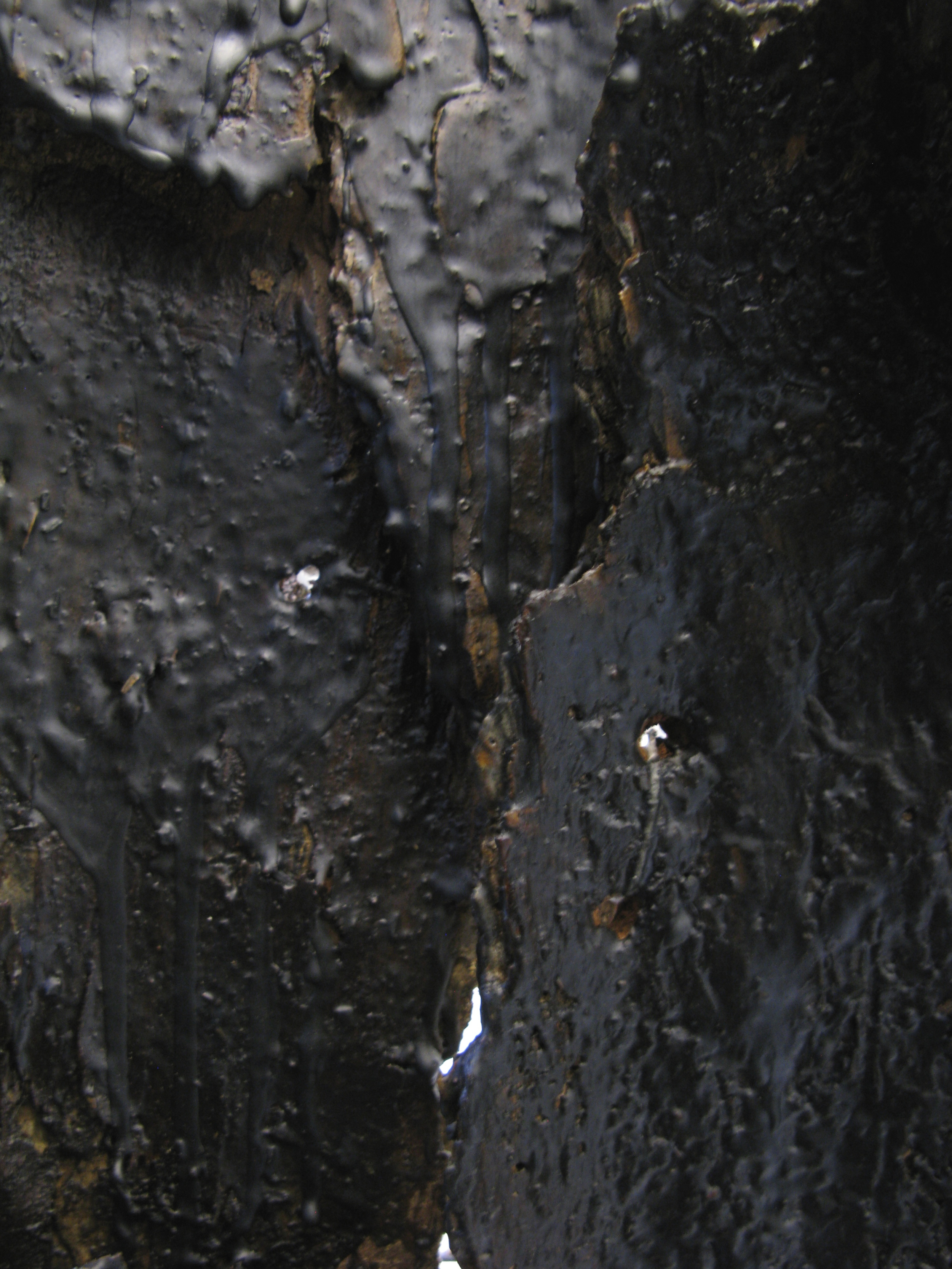  Untitled  inside surface detail 