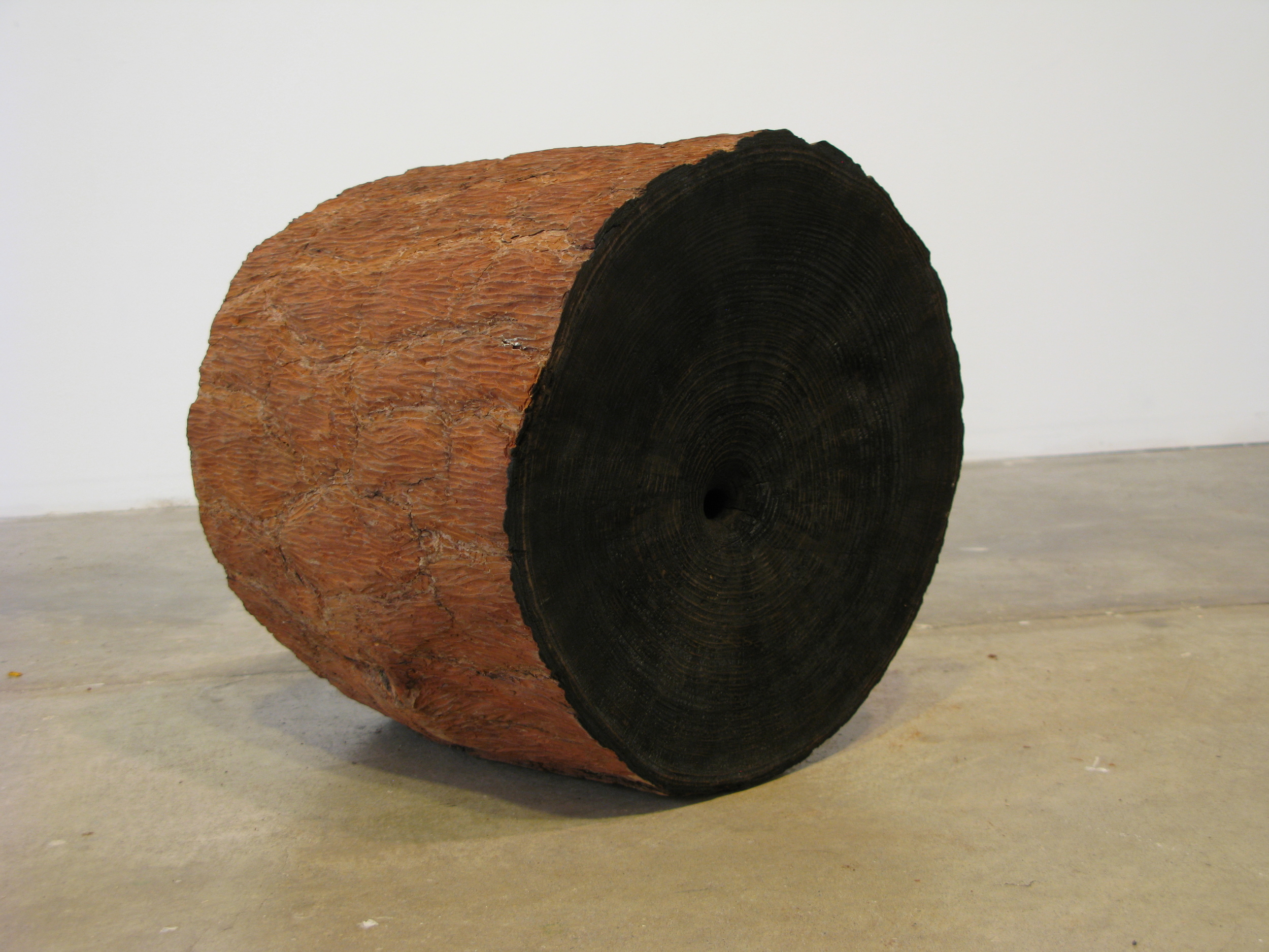  Carbon  Loblolly pine, 2015 