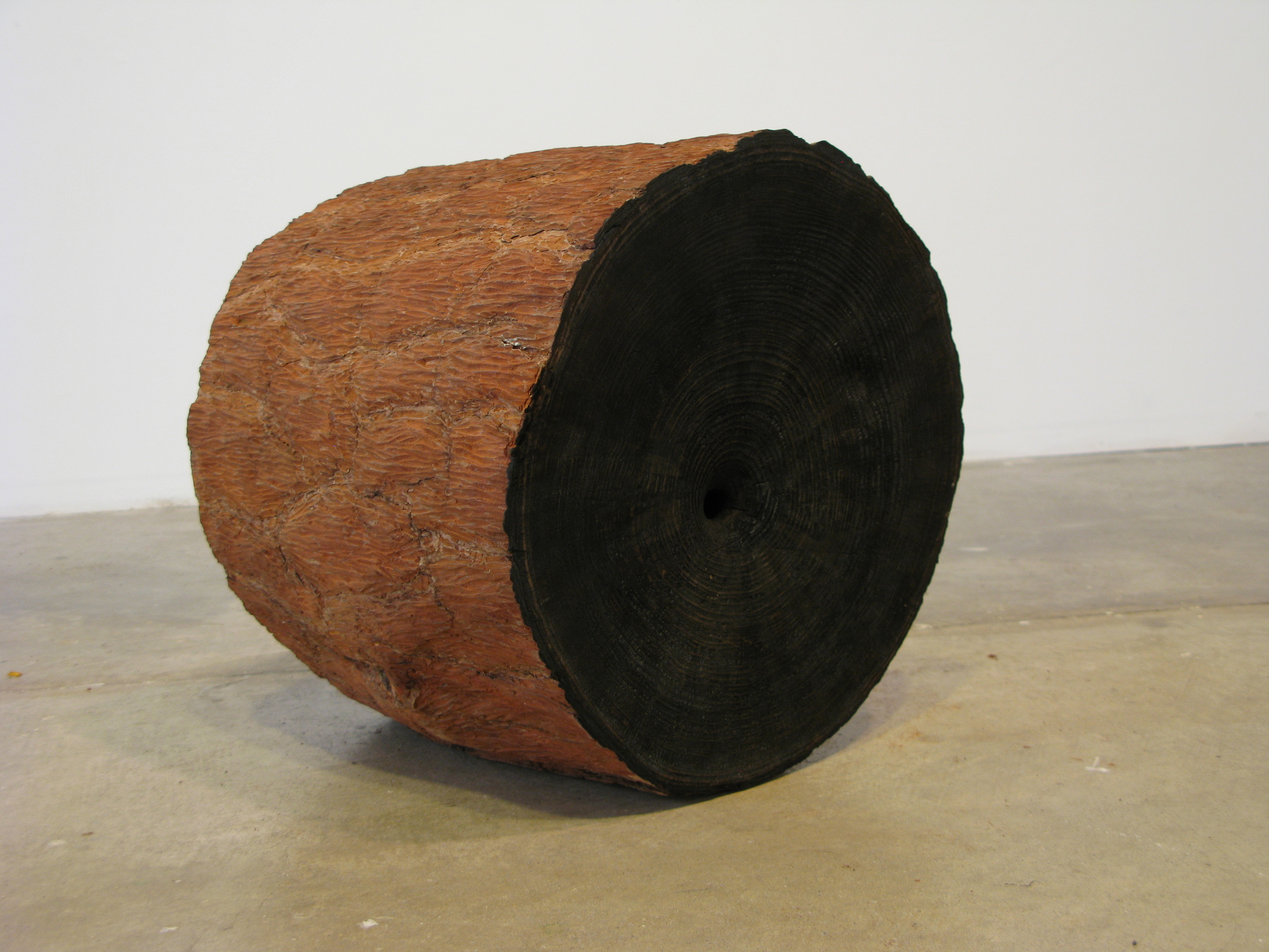 Carbon Loblolly pine, 2015