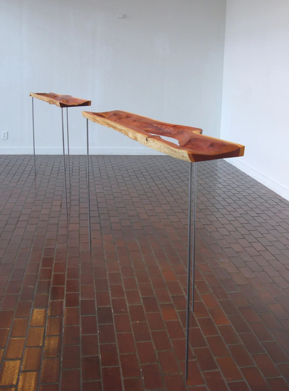 Equivalence Eastern Redcedar, steel, 2016