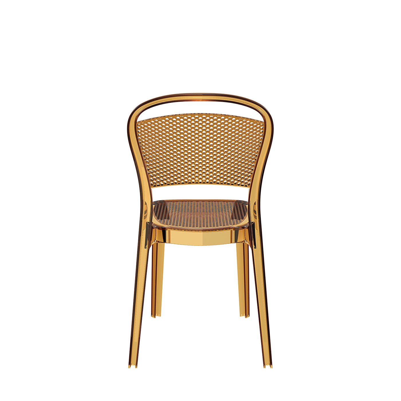 001_bee_amber_back_low-58748.jpg