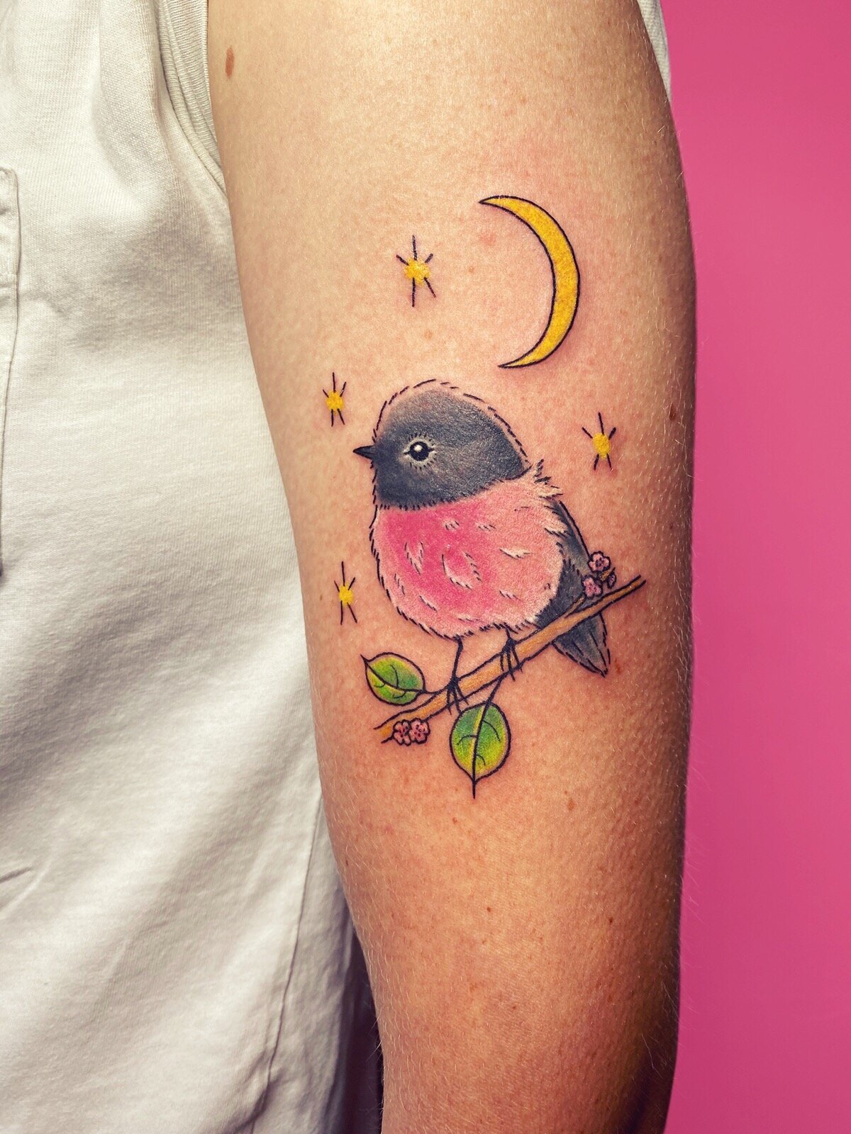 pink robin by gemma flack