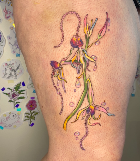 Screen Shot 2026-03-04 at 1.48.11 pm.png