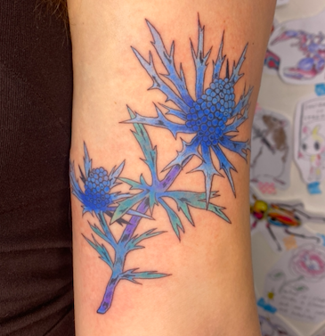 Screen Shot 2026-03-04 at 1.48.40 pm.png