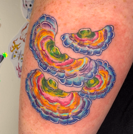 Screen Shot 2026-03-04 at 9.43.12 am.png