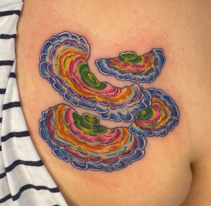 Screen Shot 2026-03-04 at 9.43.27 am.png