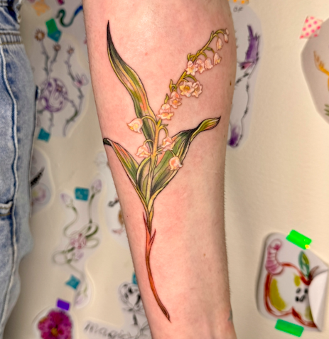 Screen Shot 2026-03-04 at 9.43.56 am.png