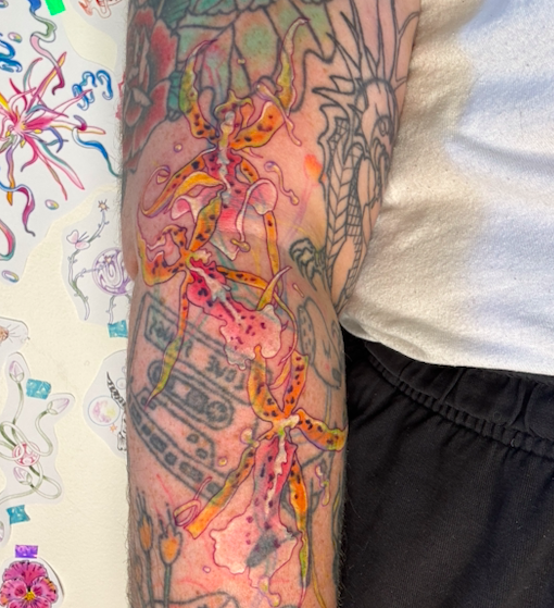 Screen Shot 2026-03-04 at 9.47.29 am.png