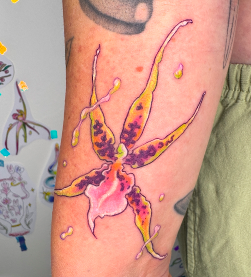 Screen Shot 2026-03-04 at 9.47.44 am.png