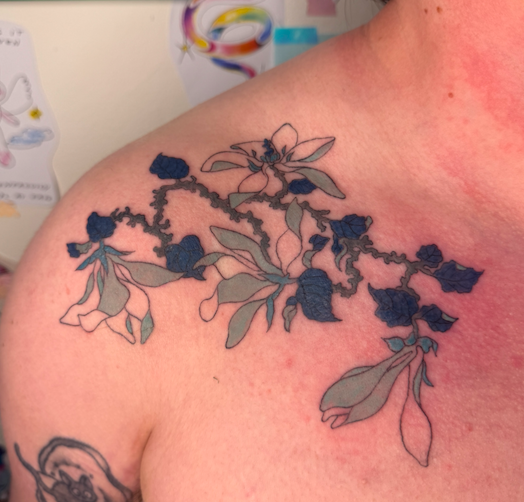 Screen Shot 2026-03-04 at 9.52.24 am.png