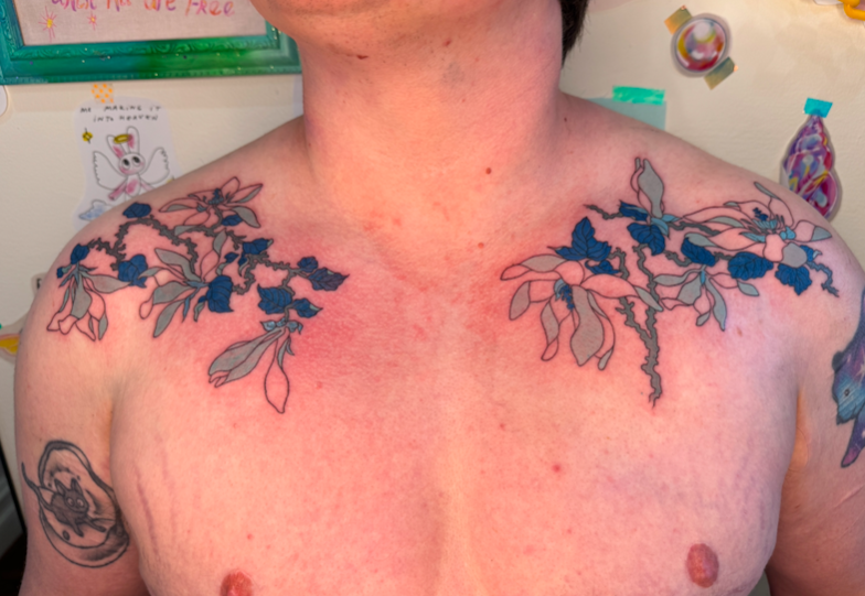 Screen Shot 2026-03-04 at 9.56.14 am.png