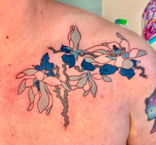 Screen Shot 2026-03-04 at 9.56.23 am.png