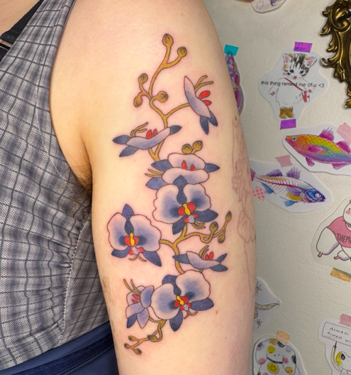 Screen Shot 2026-03-04 at 10.12.15 am.png