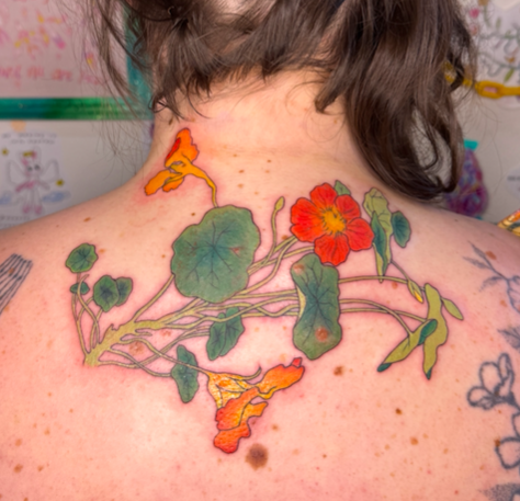 Screen Shot 2026-03-04 at 10.15.19 am.png