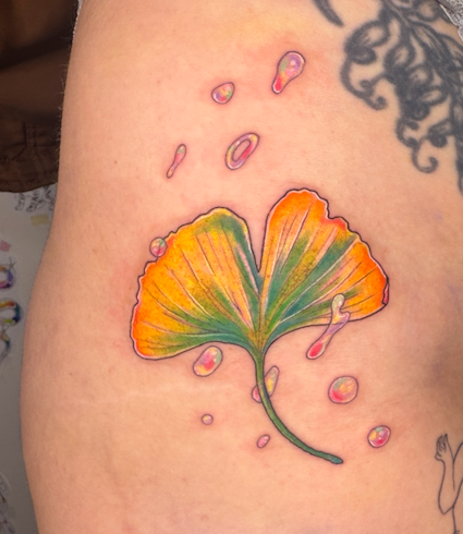 Screen Shot 2026-03-04 at 10.15.42 am.png