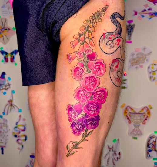 Screen Shot 2026-03-04 at 10.16.26 am.png