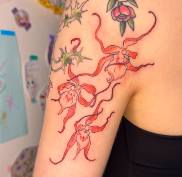 Screen Shot 2026-03-04 at 10.16.49 am.png