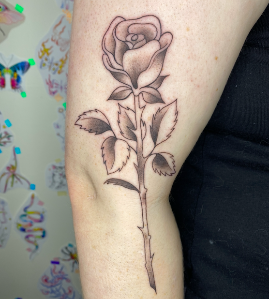 Screen Shot 2026-03-04 at 10.20.11 am.png