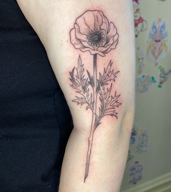 Screen Shot 2026-03-04 at 10.20.20 am.png