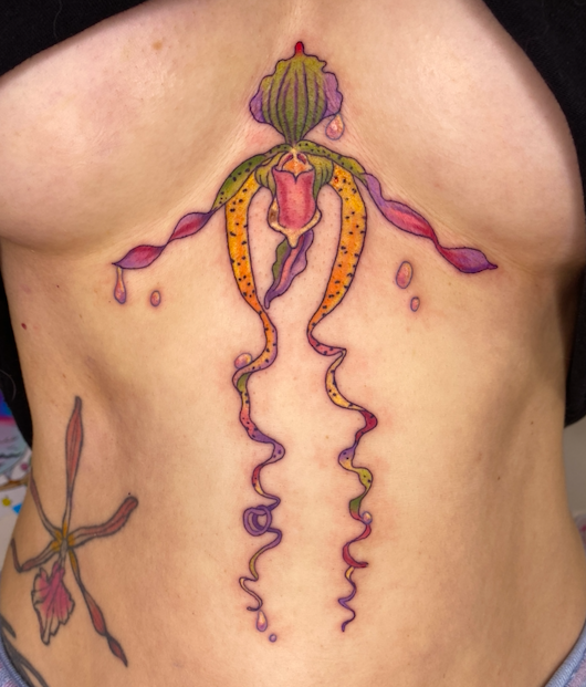 Screen Shot 2026-03-04 at 10.22.04 am.png