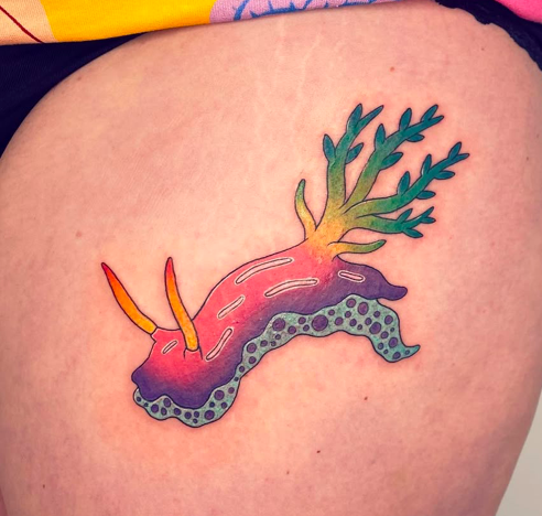 Screen Shot 2026-03-04 at 2.24.08 pm.png