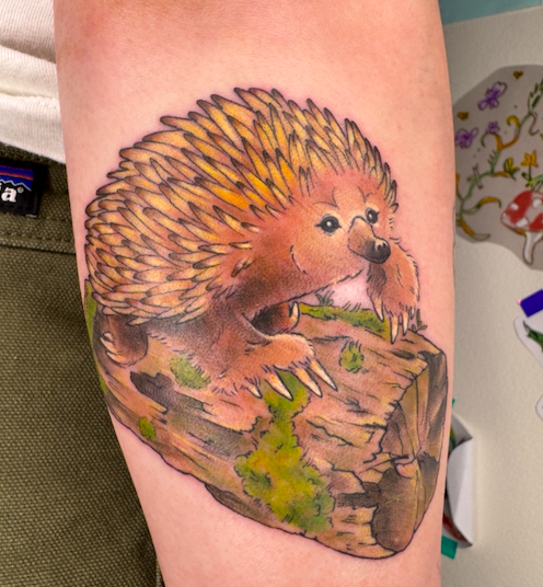 Screen Shot 2026-03-04 at 9.46.10 am.png