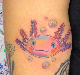 Screen Shot 2026-03-04 at 10.11.44 am.png