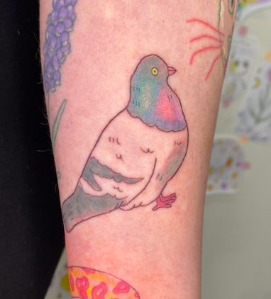 Screen Shot 2026-03-04 at 1.49.30 pm.png