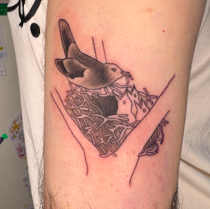 Screen Shot 2026-03-04 at 10.10.30 am.png